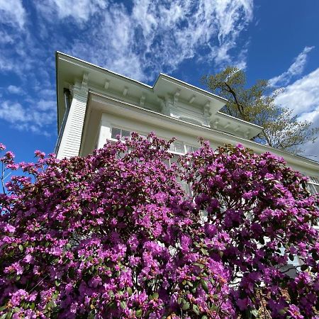 Bloom Farm Guesthouse Mount Vision 外观 照片