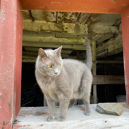 Bloom Farm Guesthouse Mount Vision 外观 照片