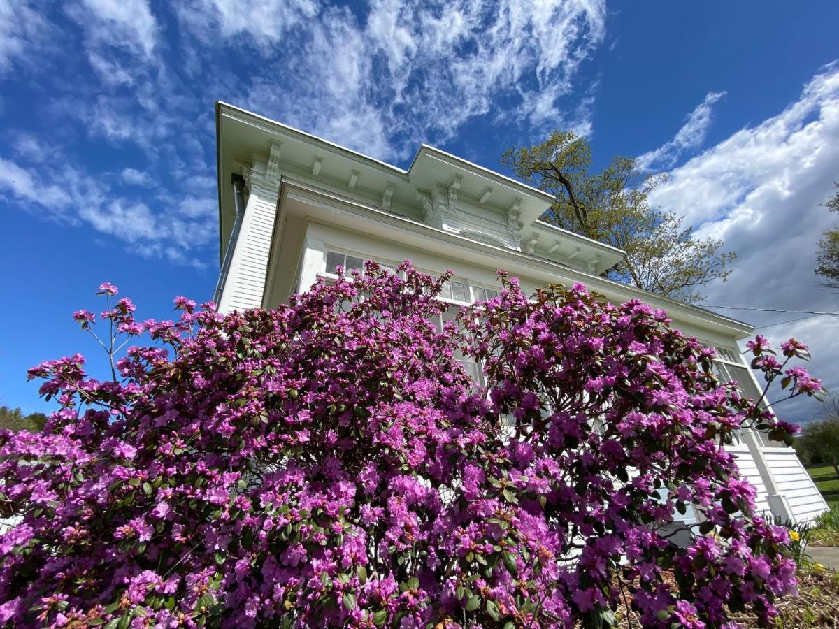 Bloom Farm Guesthouse Mount Vision 外观 照片