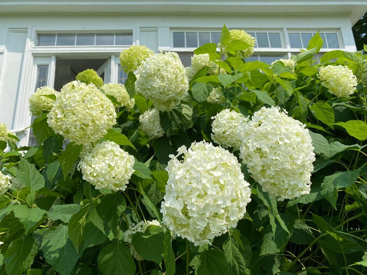 Bloom Farm Guesthouse Mount Vision 外观 照片